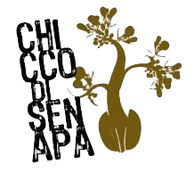 Chicco di Senapa